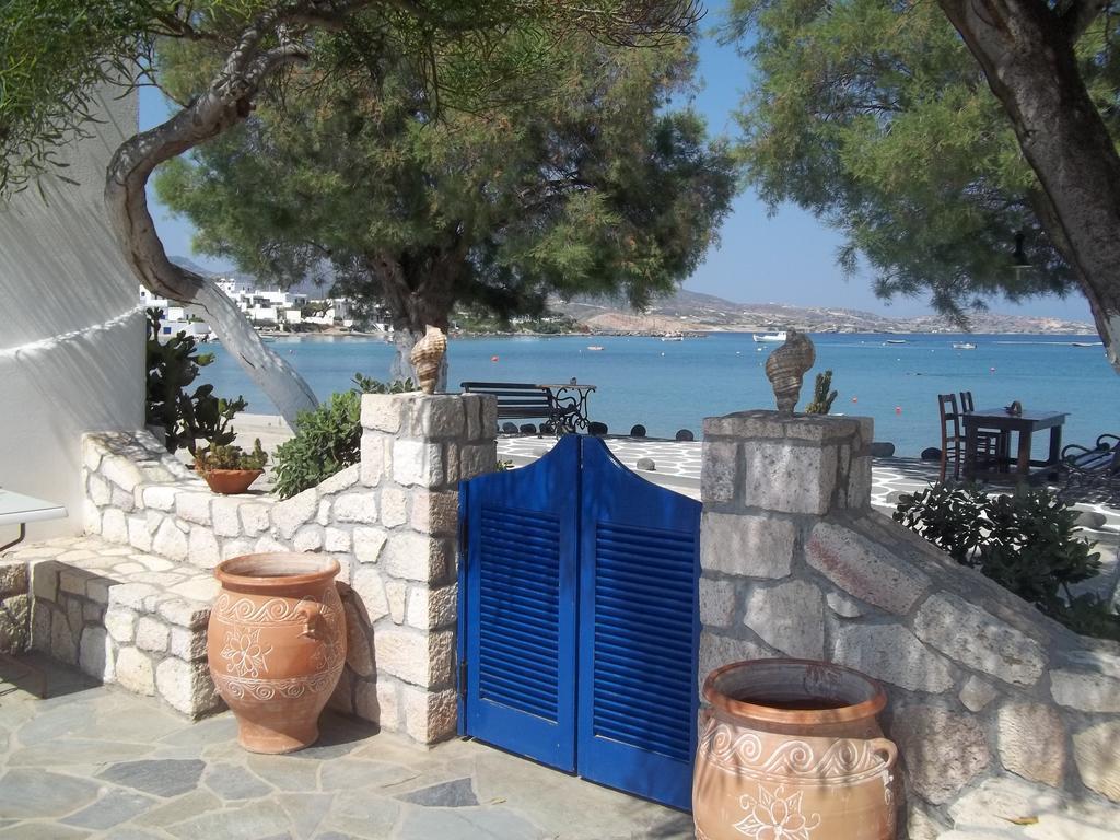 Floras Rooms بولونيا المظهر الخارجي الصورة