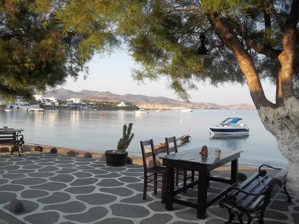 Floras Rooms بولونيا المظهر الخارجي الصورة